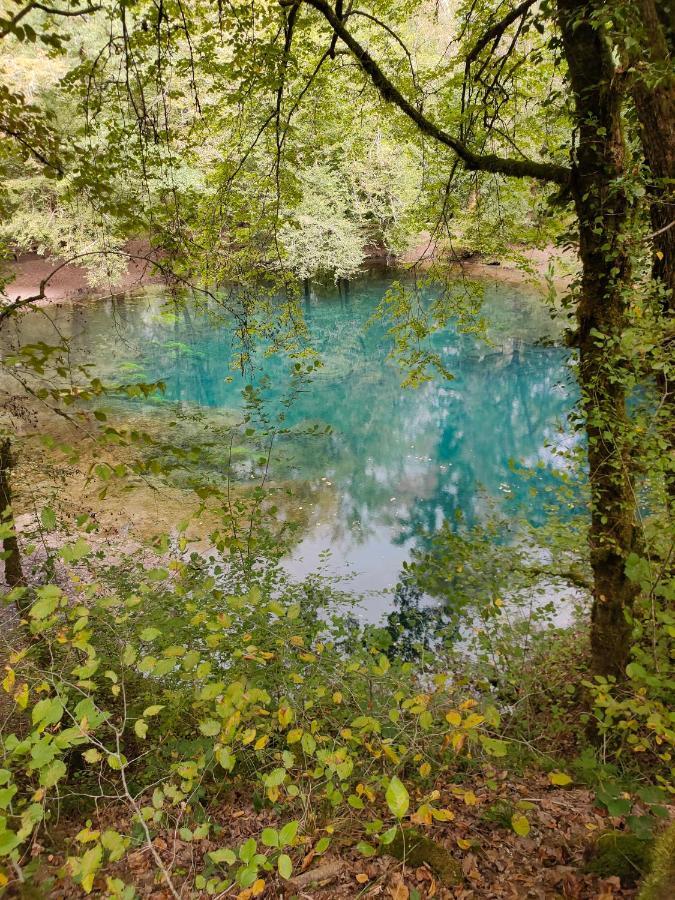 Apartment, By The Canal L Est,river Coney Vosges France Apartamento *