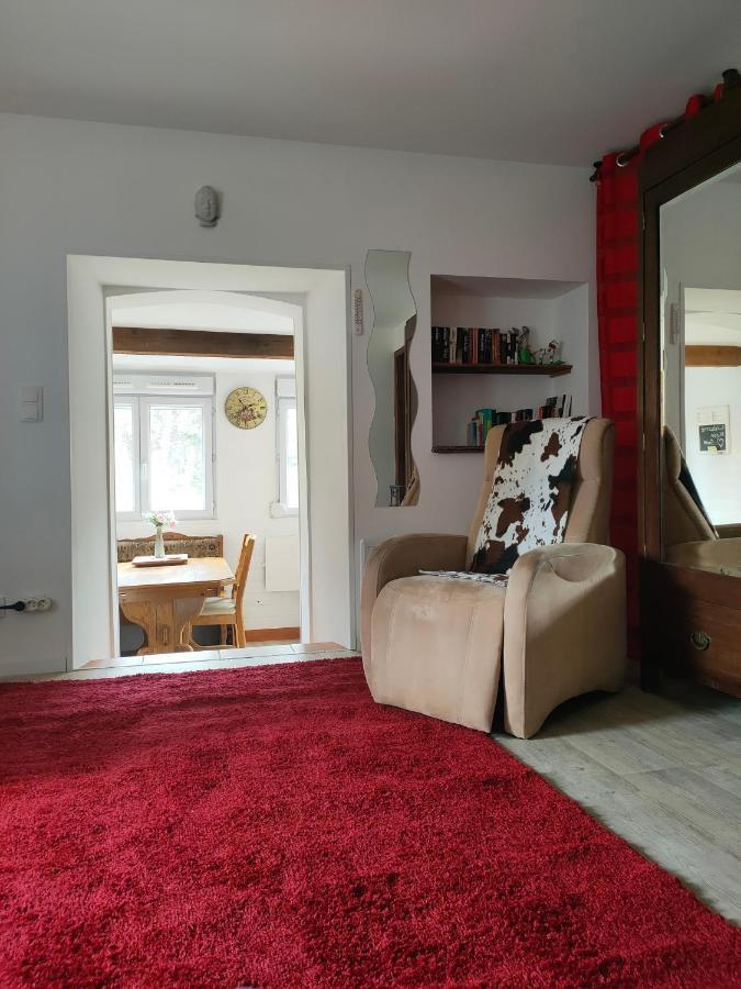 Apartment, By The Canal L Est,river Coney Vosges France Apartamento *