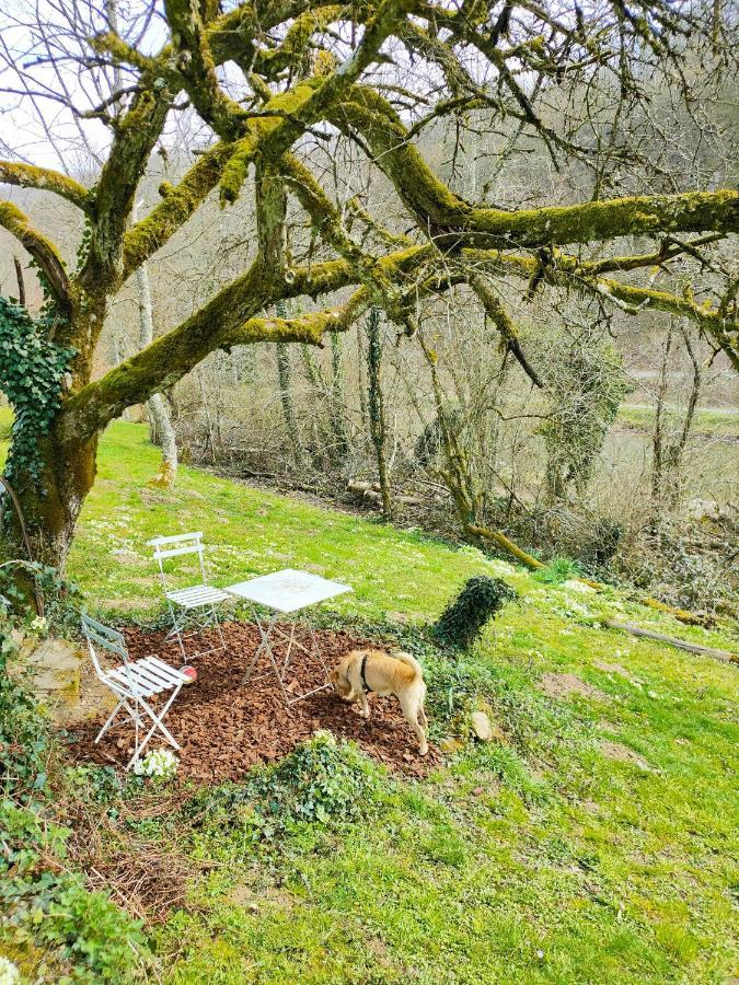 Apartment, By The Canal L Est,river Coney Vosges France Apartamento